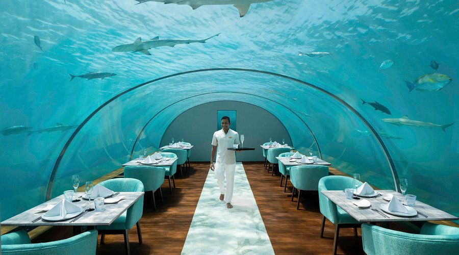 Review Restoran Ithaa Sensasi Makan di Bawah Laut Maladewa